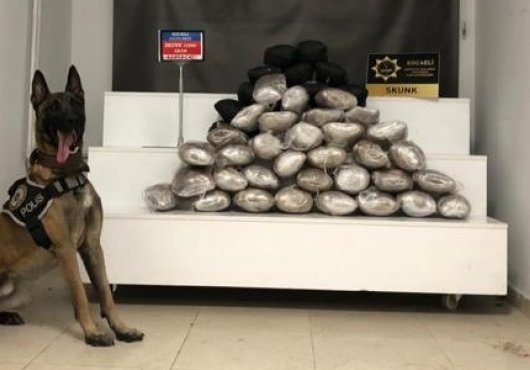32 kilo uyuşturucuyla yakalanmıştı!  Tutuklanarak cezaevine gönderildi