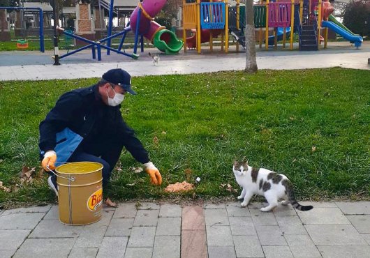 SOKAK HAYVANLARI UNUTULMUYOR