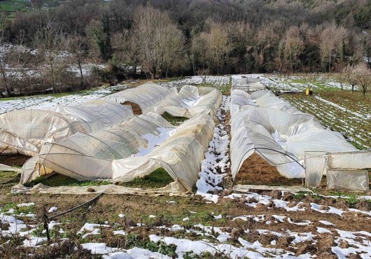 SERA DESTEĞİ  İÇİN  BAŞVURULAR BAŞLADI