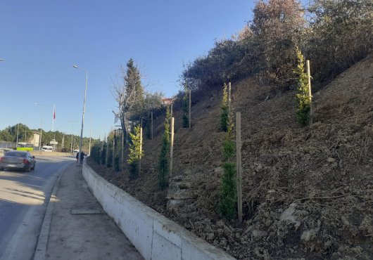Gölcük Yüzbaşılar Kavşağı’nda çevre düzenlemesi..