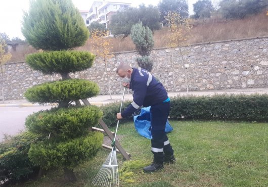 YEŞİL ALANLARA SONBAHAR BAKIMI