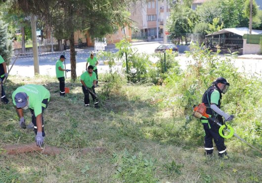    Körfez’de yabani ot ve biçme çalışmaları sürüyor