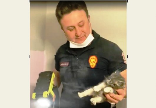 MAHSUR KALAN KEDİYİ İTFAİYE KURTARDI