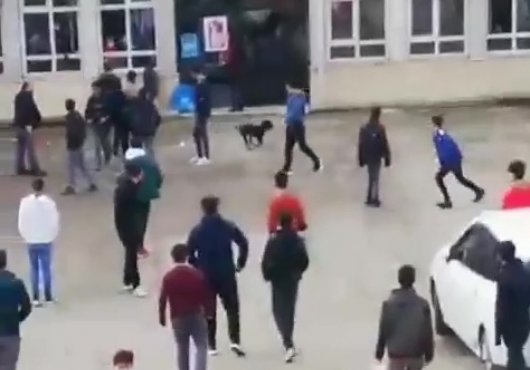 OKUL BAHÇESİNDE , PİTBULL DEHŞETİ