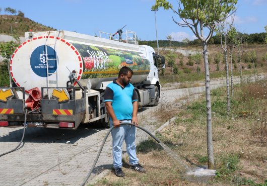 AĞAÇLARA CAN SUYU BÜYÜKŞEHİR'DEN