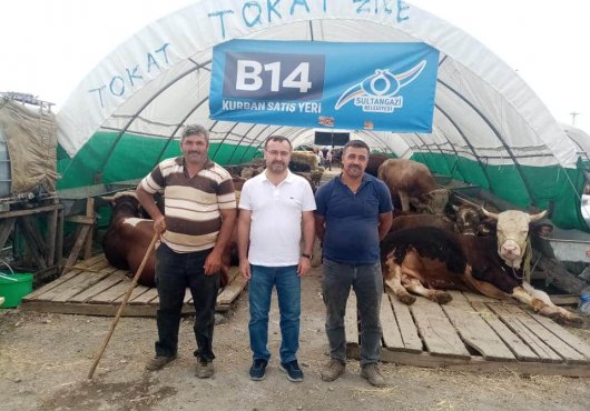 KURBAN PAZARINDA BİR BAŞSAVCI