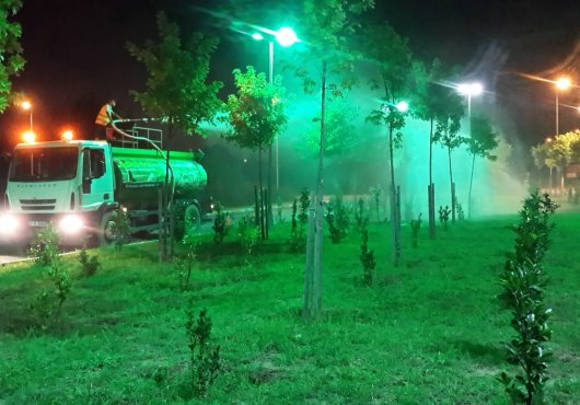 KOCAELİ'NDE AĞAÇLAR SUSUZ KALMIYOR