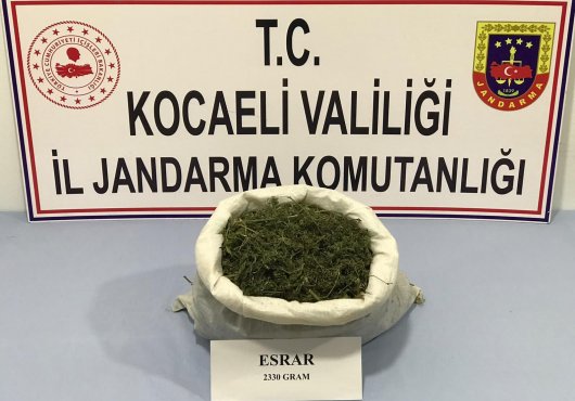 ORMAN ZULASINA JANDARMA OPERASYONU