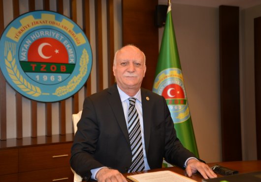 ANIZ YAKMAK GELECEĞİMİZİ YAKMAKTIR