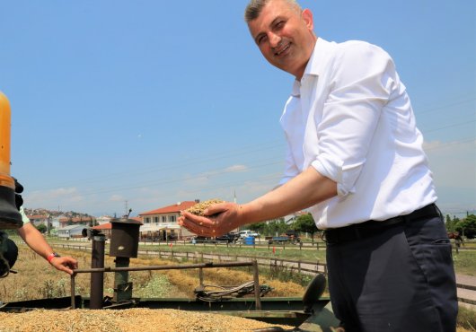 GÖLCÜK BELEDİYESİ BOŞ ARAZİDEN 20 TON BUĞDAY HASAT ETTİ
