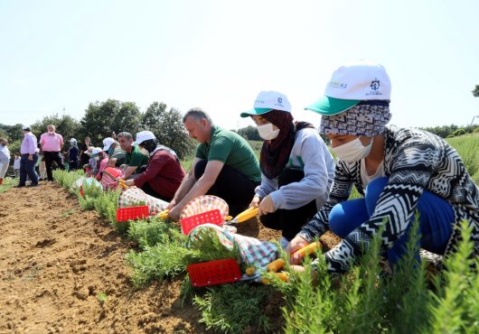 Büyükşehir’den çiftçilere bir müjde daha:  Kooperatif ve birliklere yüzde 75 hibe desteği