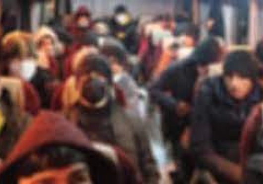 Düzensiz 11 göçmen yakalandı! 2 kişi gözaltına alındı