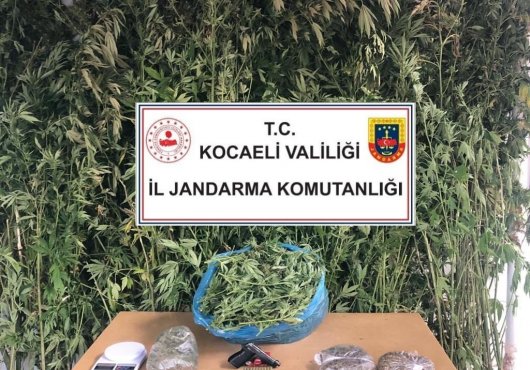 Jandarma ekipleri,4 kilo 825 gram Esrar ele geçirildi!