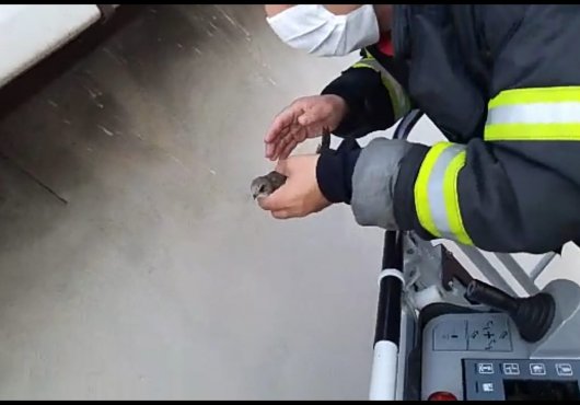İTFAİYE İPE DOLANAN EBABİL KUŞUNU KURTARDI