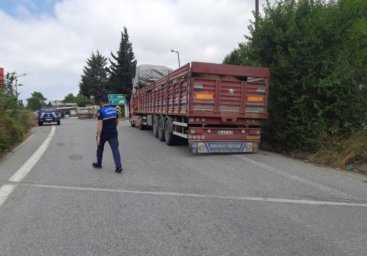    Kurbanlıkların nakliyesine sıkı denetim