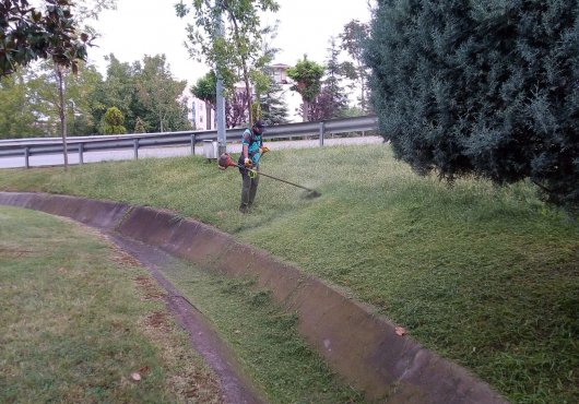 KAVŞAK VE YOLLARDA OT BİÇİMİ VE BUDAMA