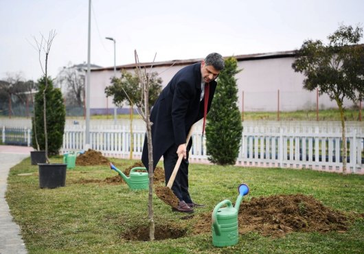 Kartepe'de  kiraz ve vişne yılı