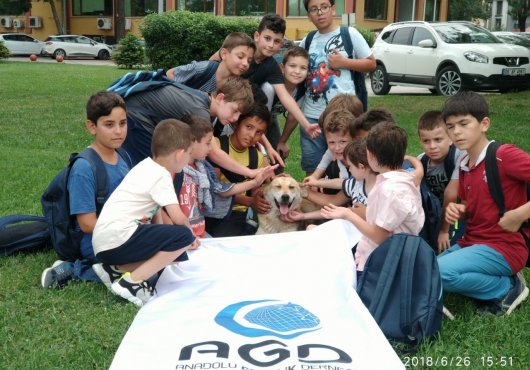 AGD'NİN YAZ ETKİNLİKLERİNİ ONLİNE ORTAMA TAŞIDI