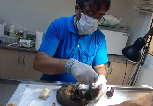BYÜYÜKŞEHİR EKİPLERİ YANGIN BÖLGESİNDE 