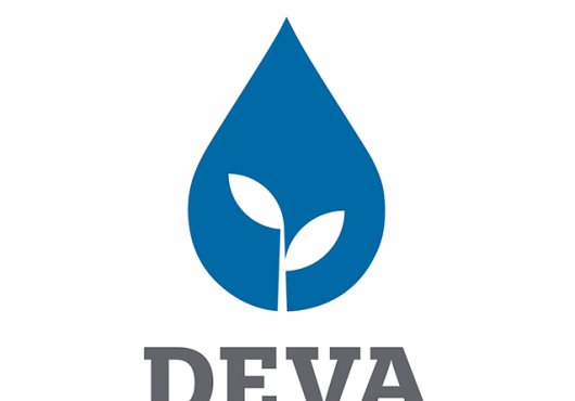 DEVA PARTİSİ, 