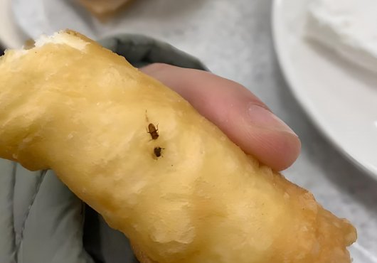 İşçilerden böcekli börek tepkisi