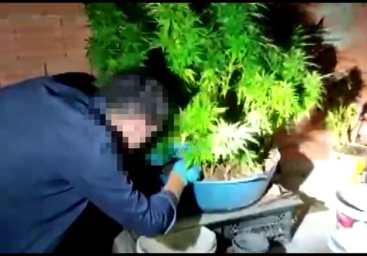 SAKSI VE LEĞENLERDE ONLARCA KENEVİR!