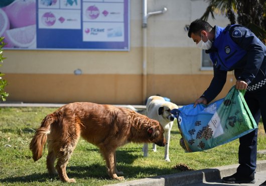 Kartepe’nin Sokak Dostları Ramazanda Da Unutulmuyor...